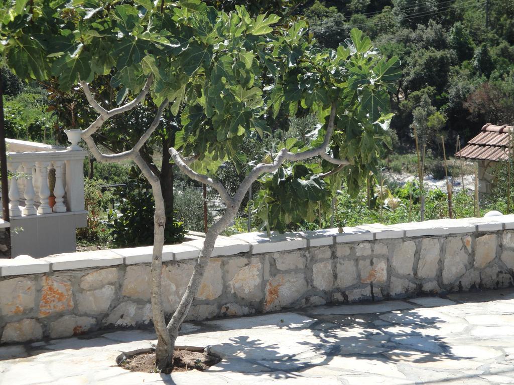 Villa Marica Neum Exteriör bild